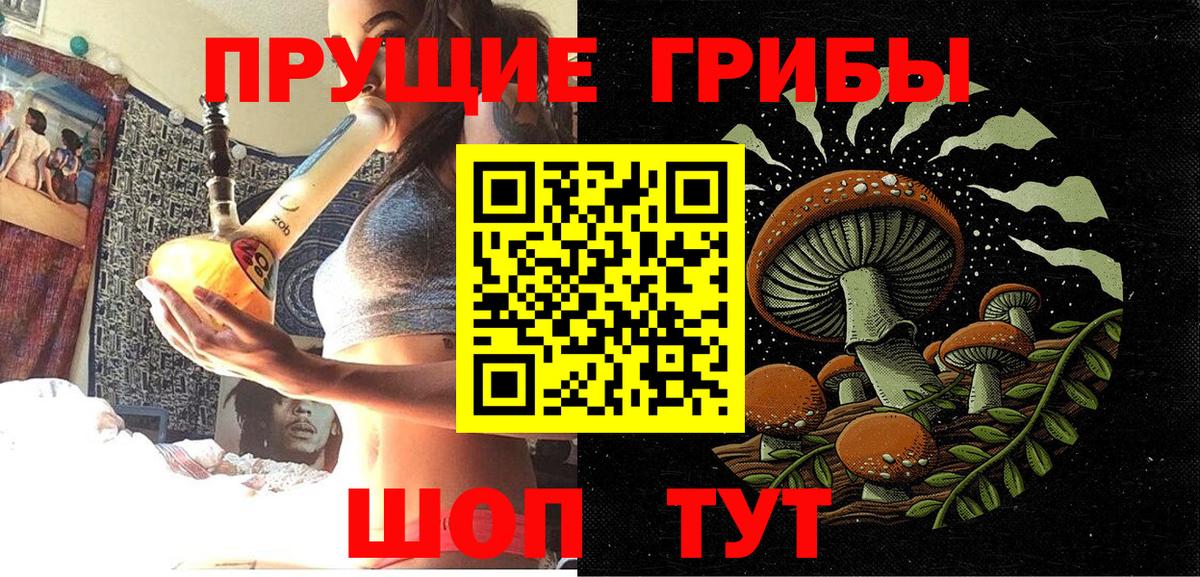 Псилоцибиновые грибы Psilocybine cubensis Узловая