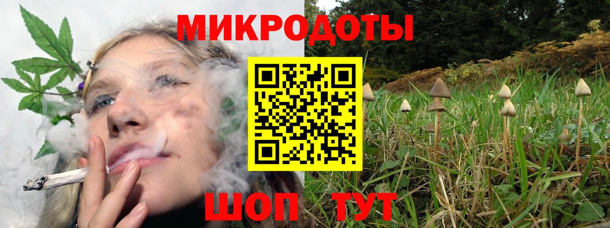 Узловая  Псилоцибиновые грибы Cubensis  Вход с VPN 